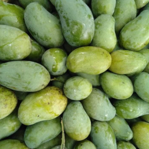 amrupali mango