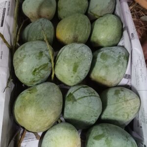 বারি-৪